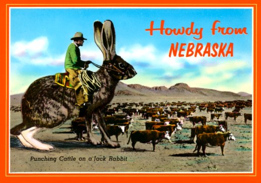 I would live there if they had rabbits this large. 