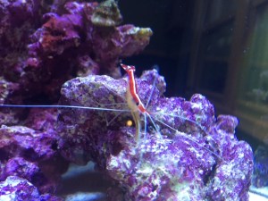 A snail can be seen at the top of the pic. Notice how Fosse is walking away, not wishing to discuss the humidity. 